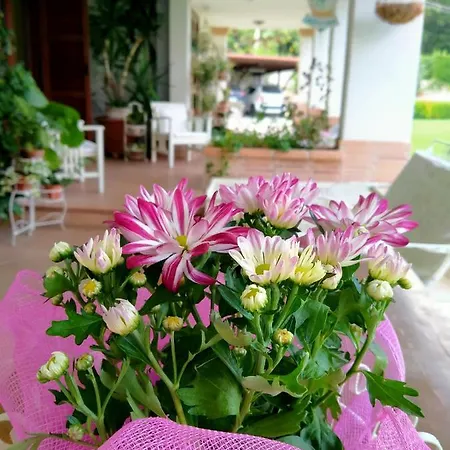 Il Cantico Bed & Breakfast 3*