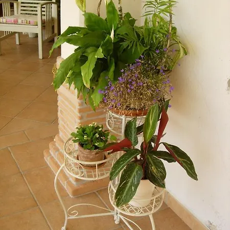 Il Cantico Bed & Breakfast