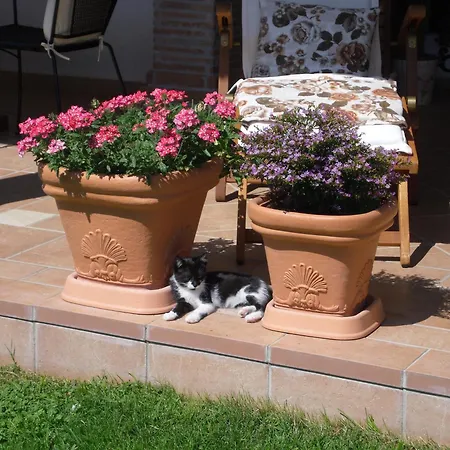 Bed & Breakfast Il Cantico Greccio