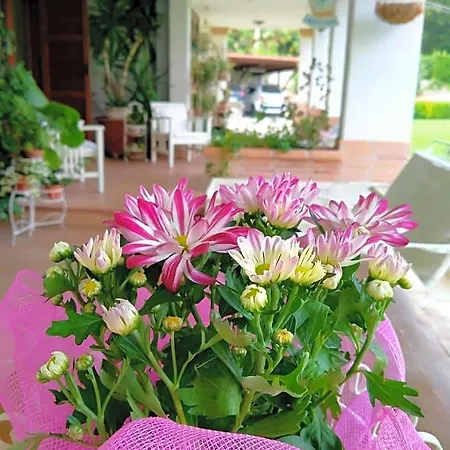 Bed & Breakfast Il Cantico Greccio
