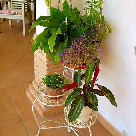 Bed & Breakfast Il Cantico